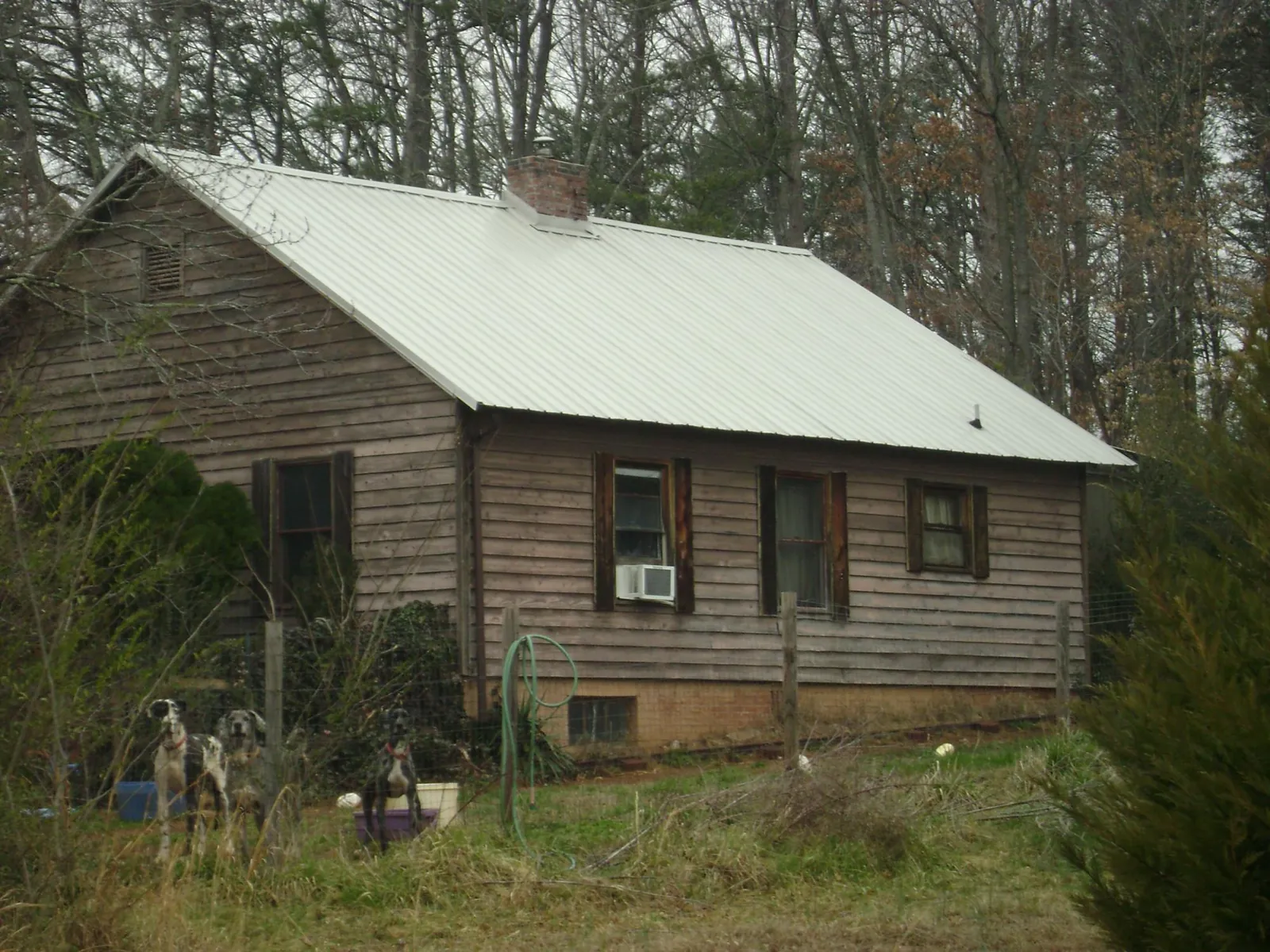 White metal roof on an old wood sided farmhouse, from a Metal Roof Installation job in Beach Haven